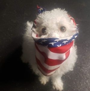 Meet your Posher, Steve